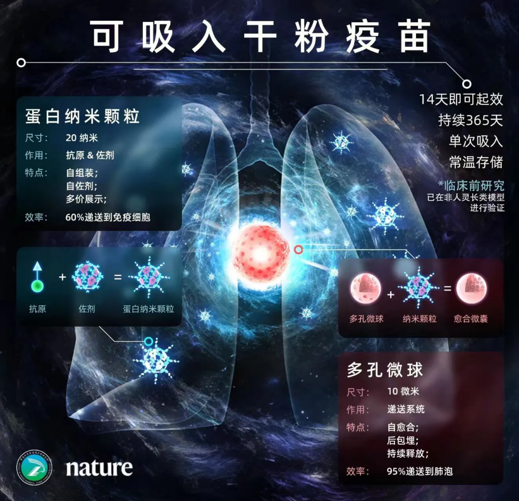 中国科学院突破性研发：单剂干粉吸入式疫苗平台，创新应对新兴传染病