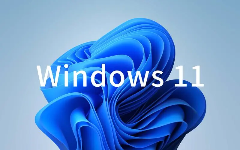 Windows 11