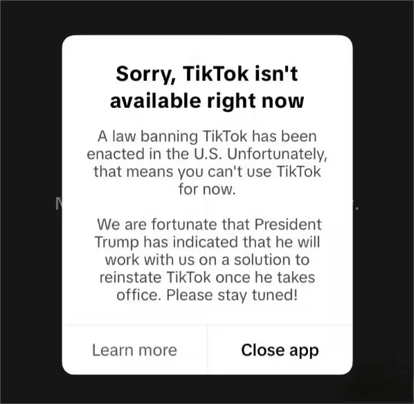 TikTok 在美国暂停服务